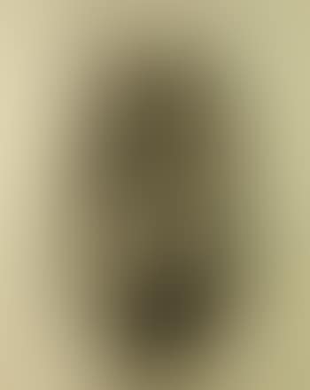 Woman undressing (preview)