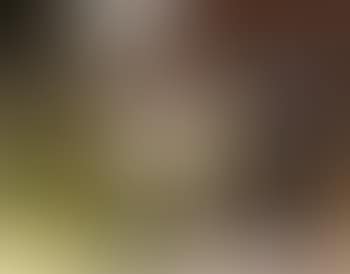 Old Line's birthday (preview)