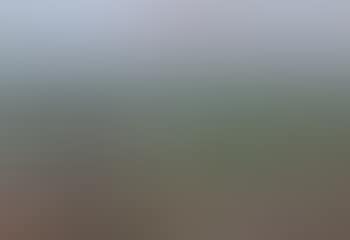 Wide landscape (preview)