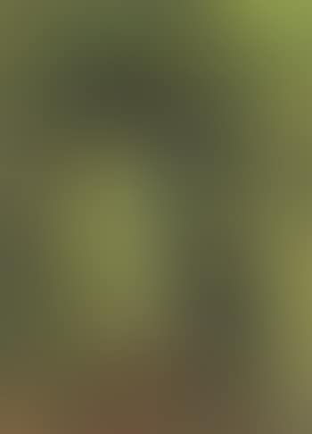 Wooded landscape (preview)