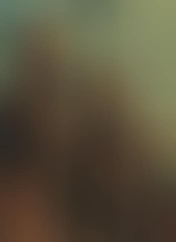 Moments (preview)