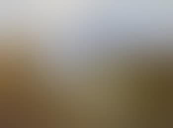 Dawn, Loch Achray (preview)
