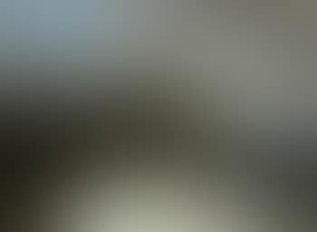 Figure walking a dog on a path in winter landscape (preview)