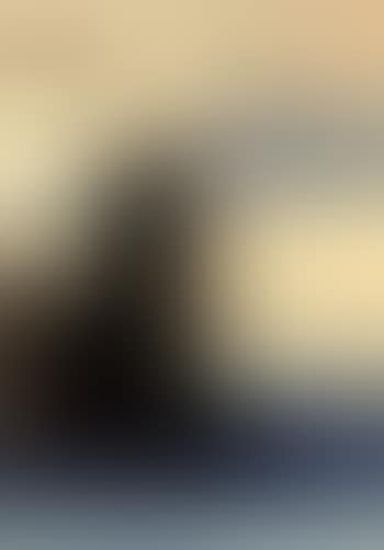 Moon (preview)