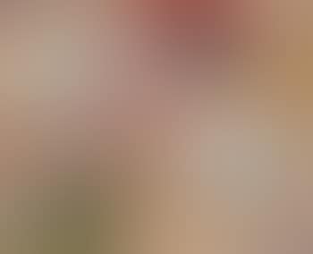 Oies (preview)