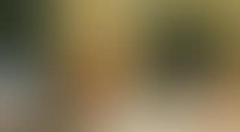 Nature morte a l'estampe japonaise (preview)