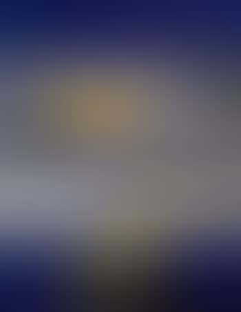 Shoalhaven riverbank (preview)