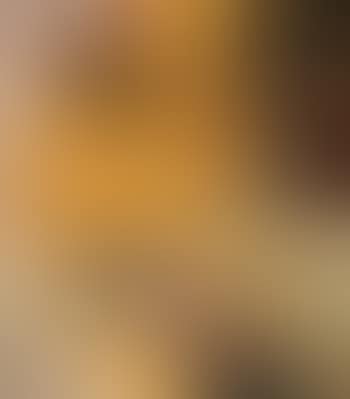 Composicion (preview)