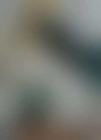 Seated woman wearing white evening dress (preview)