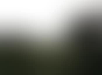 Laacher meadow (preview)