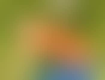 Bicycle rider (preview)