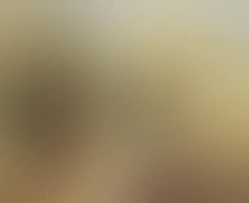 Landscape (preview)