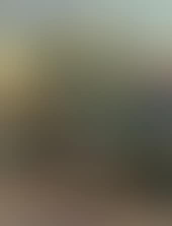 Coucher de soleil au palmier (preview)