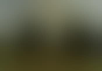 Path through field (preview)