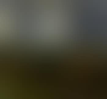 Landscape near Elbing (preview)