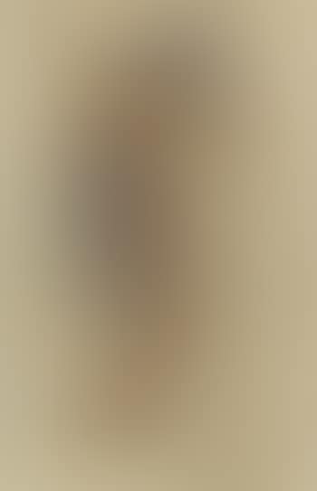 Nude model with drapery. Standing female nude (preview)