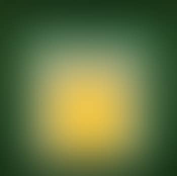Homage to the square - park (preview)