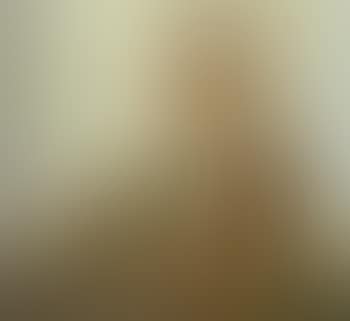 Portrait of Frederick Hammett. Nude in an interior (preview)