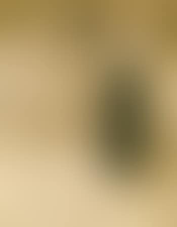 Frontispiece for Elles (preview)