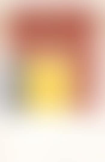 Exposition Vallauris (preview)