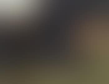 La petite bergere - young shepherdess (preview)