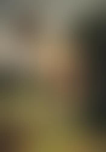 Goat in extensive landscape (preview)