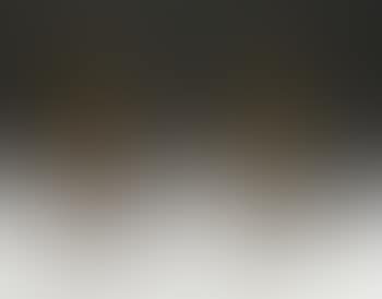 Abstract firedogs by Alberto Giacometti (preview)