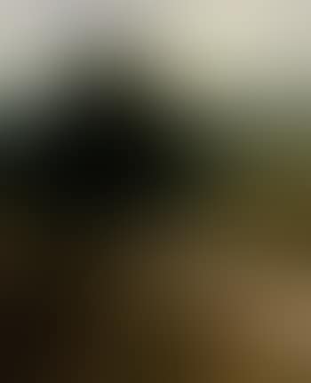 Country lane with distant figures (preview)