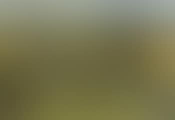 Wooded hills, west Suffolk (preview)