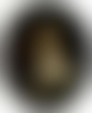 Portrait of Sophia Colston in a white dress (preview)