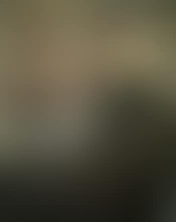 Graue Hunde, drei streifen (preview)