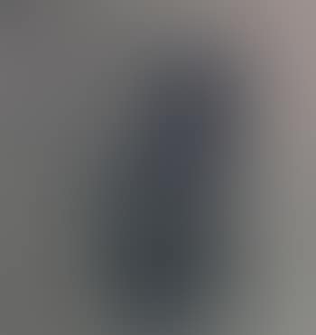 Sad dog by Laurence Stephen Lowry (preview)