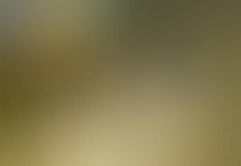Nature morte a la lampe (preview)