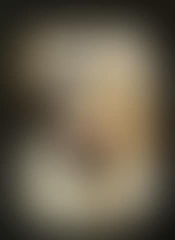 Poubelle (preview)
