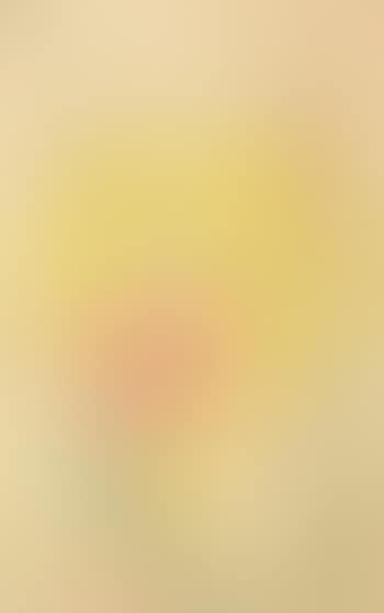Yellow iris (preview)