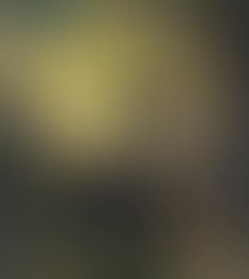 Sunrise (preview)