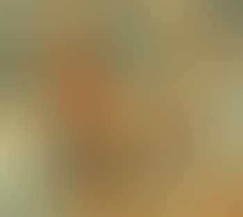 Sailing boat on the Nile (preview)