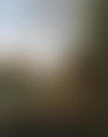 Pastoral scene (preview)
