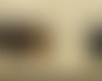 White, brown and black (preview)