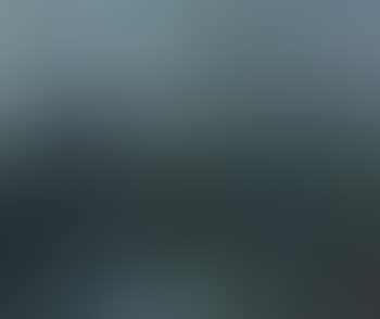Landscape, Titirangi (preview)