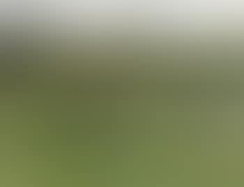 Landscape with waterway and cattle grazing (preview)