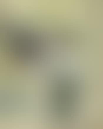 Nature morte, vase avec oeillets (preview)