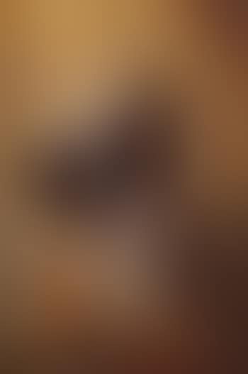 The Immaculate Conception (preview)