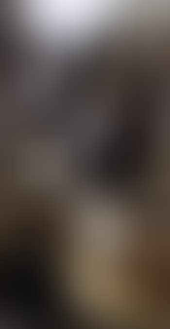 Untitled (preview)