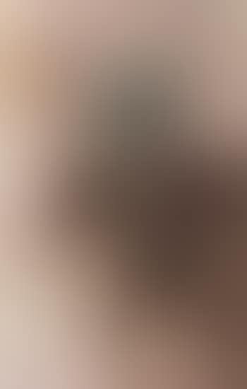 Stilleven met vlinder - still life with butterfly (preview)