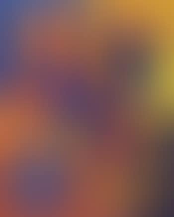 Fruit (preview)