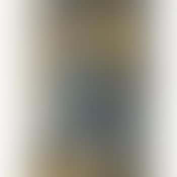 El picapedrero (preview)