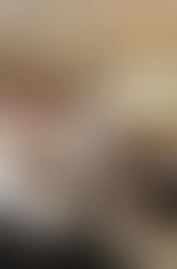 Untitled (preview)