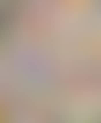 Faccine (preview)