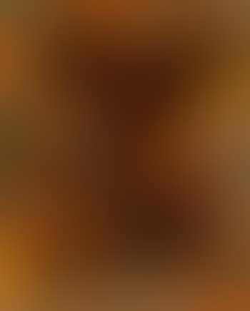 Composition (preview)